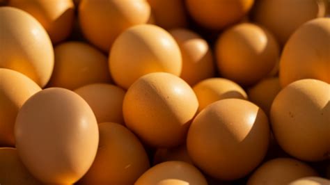 gucci is cheap and eggs are pricey|Videos Show Massive Lines for Eggs in Russia as Prices Skyrocket.